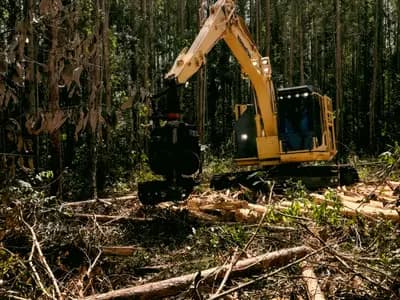 Land Clearing Services Jacksonville in Jacksonville